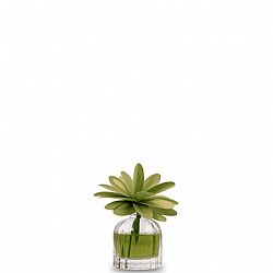 Αρωμα 60ml για 15μ2, Mosto Supremo, με ξύλινο διαχητή πράσινο λουλούδι, MUHA.H07