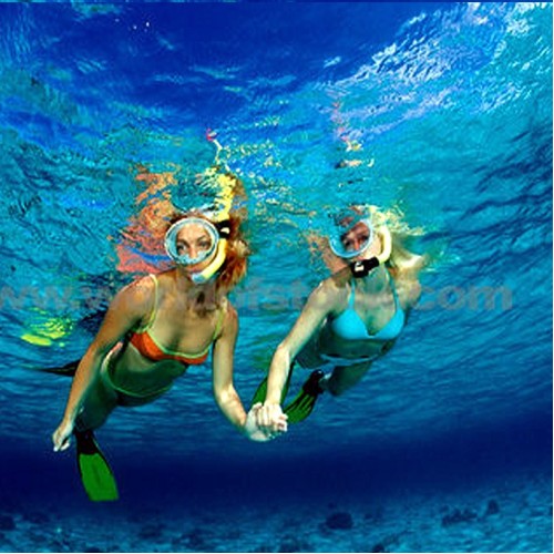 ΜΑΣΚΕΣ-ΒΑΤΡΑΧΟΠΕΔΙΛΑ