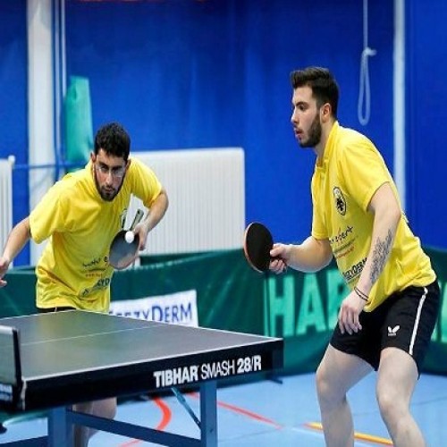 Πίνγκ-Πόνγκ