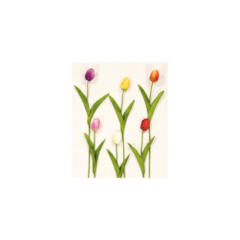 KΛAΔI TOYΛIΠAKI ΧΡΩΜΑ ΜΩΒ 00.17.38025